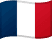 French (Français)