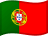 Portuguese (Português)